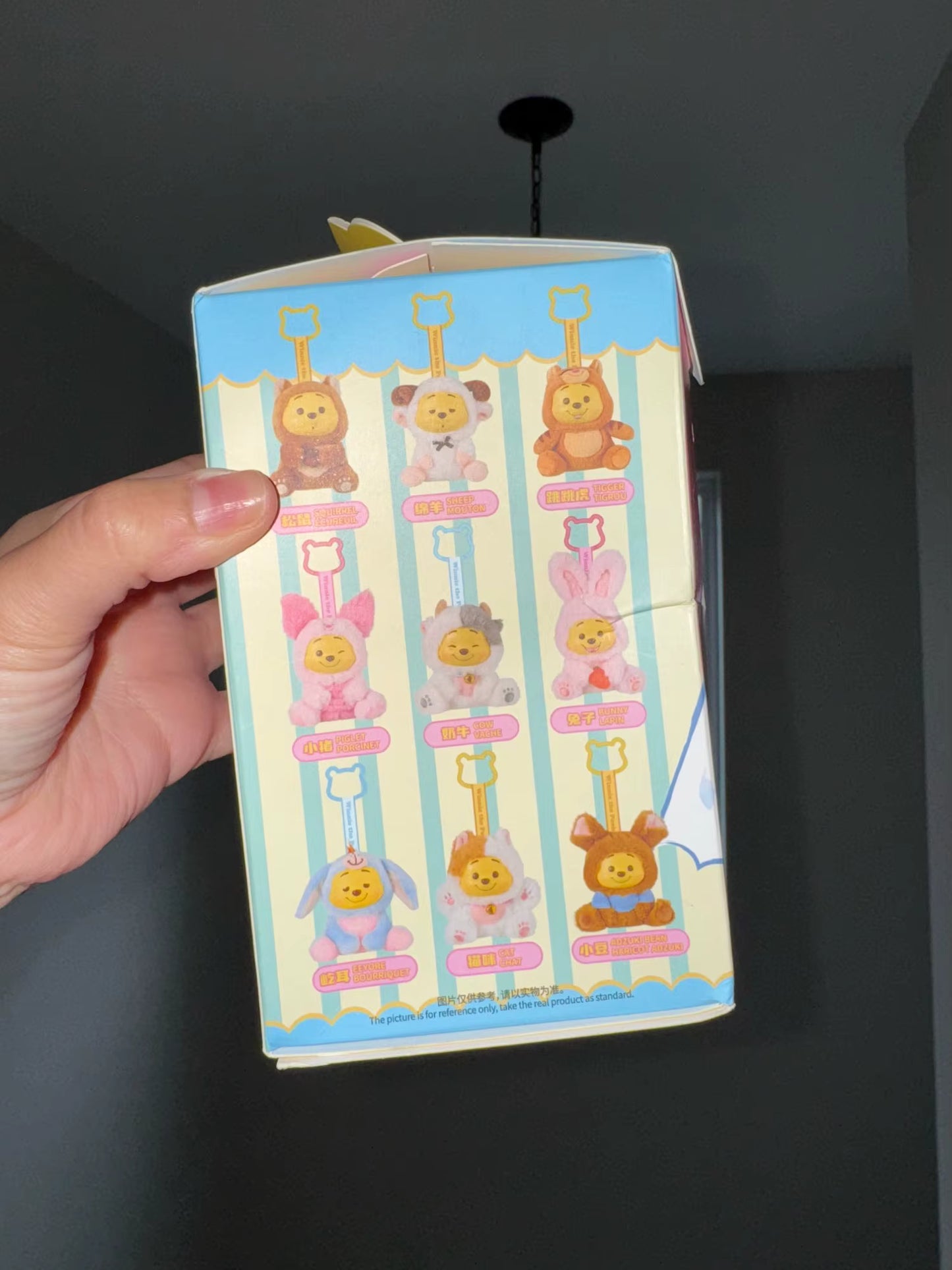 Disney Winnie The Pooh Blind Box
